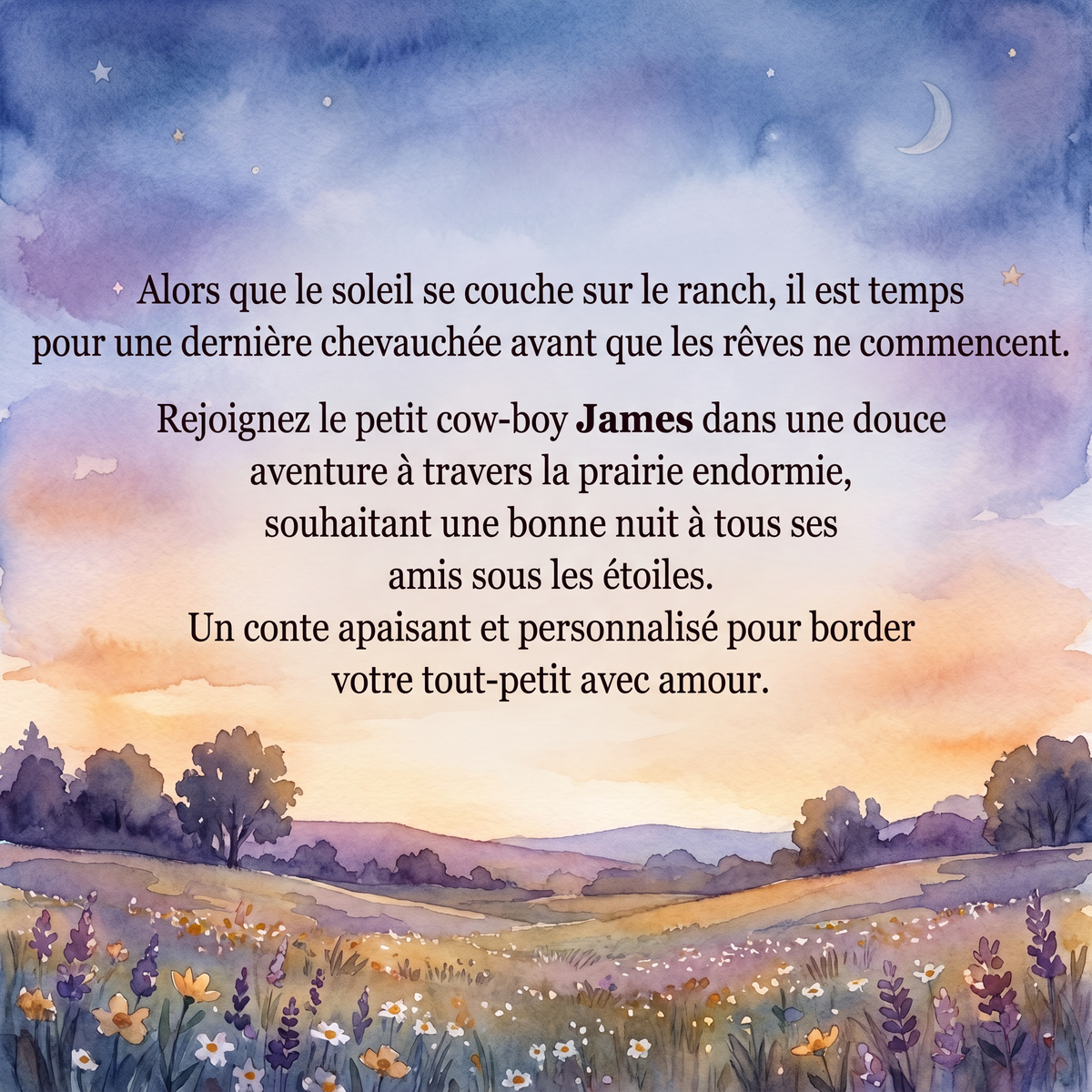 Quatrième de couverture illustrée d’une prairie au crépuscule, avec le texte français présentant l’aventure de James.